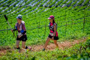 BIB: 
                            <button type="button" onclick="openModal(19164704)" class="btn btn-primary btn-sm float-right btn-popup" data-toggle="modal" data-target=".modal-high-quality">
                        <i class="fas fa-shopping-cart"></i> Add to Cart
                    </button>
                                            <button type="button" onclick="isThisMe(19164704, true)" class="btn btn-success btn-sm float-right btn-popup btn-isme hidden" data-toggle="tooltip" data-placement="bottom" title="นี่คือรูปของคุณใช่ไหม คลิกที่นี่เพื่อเอาเข้าอัลบั้ม">
                        <i class="fas fa-plus"></i> Add to album
                    </button>
                    <button type="button" onclick="isThisMe(19164704, false)" class="btn btn-warning btn-sm float-right btn-popup btn-isnotme hidden">
                        <i class="fas fa-ban"></i> Remove from album
                    </button>